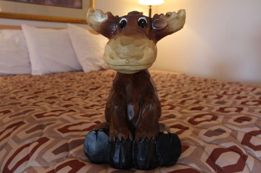 Moose Creek Lodge & Suites โคดี ภายนอก รูปภาพ